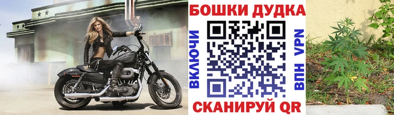 Бошки марихуана гибрид Лермонтов